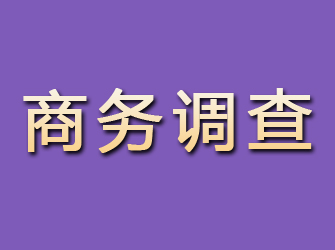 沽源商务调查